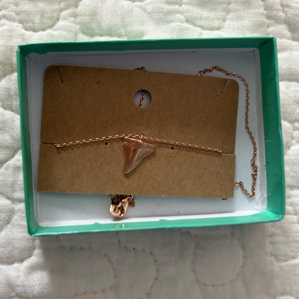 Rose Gold Plated 16” Shark Tooth Necklace